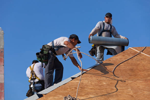 Roof Gutter Cleaning in Harrington Park, NJ